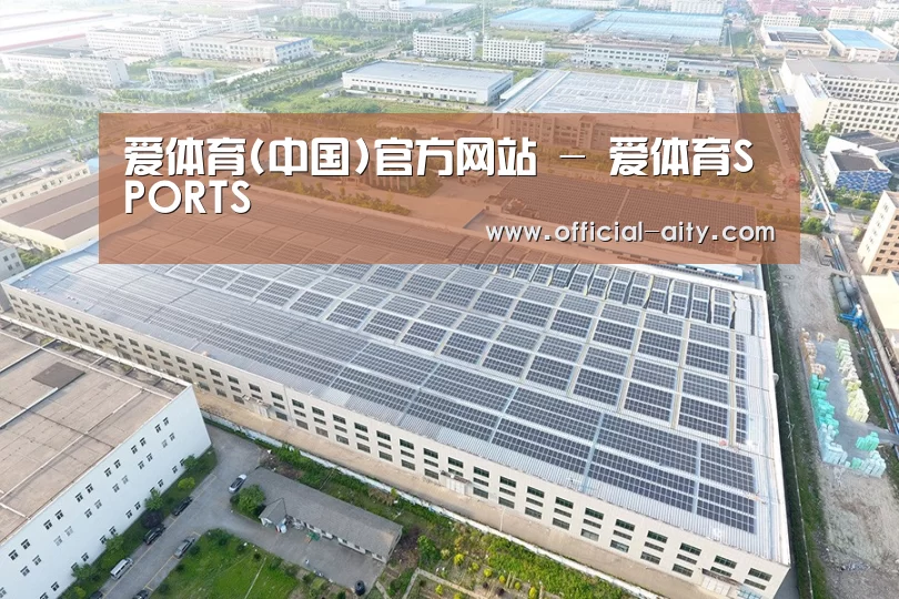 案例展示一