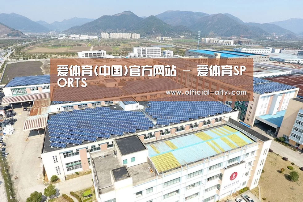 案例展示一
