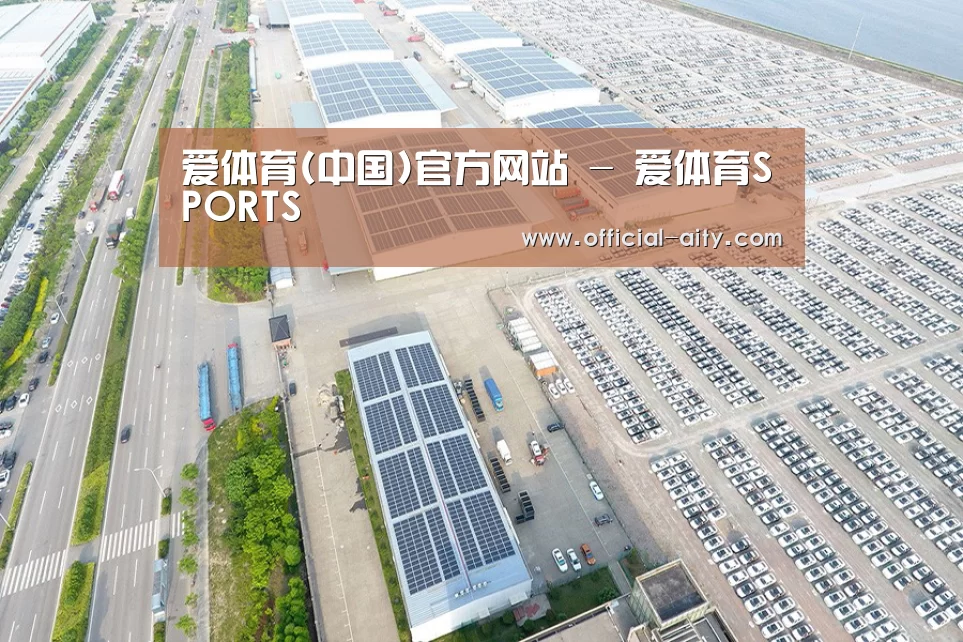案例展示一