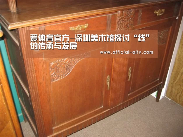 爱体育官方-深圳美术馆探讨“线”的传承与发展(图3) 爱体育官方
